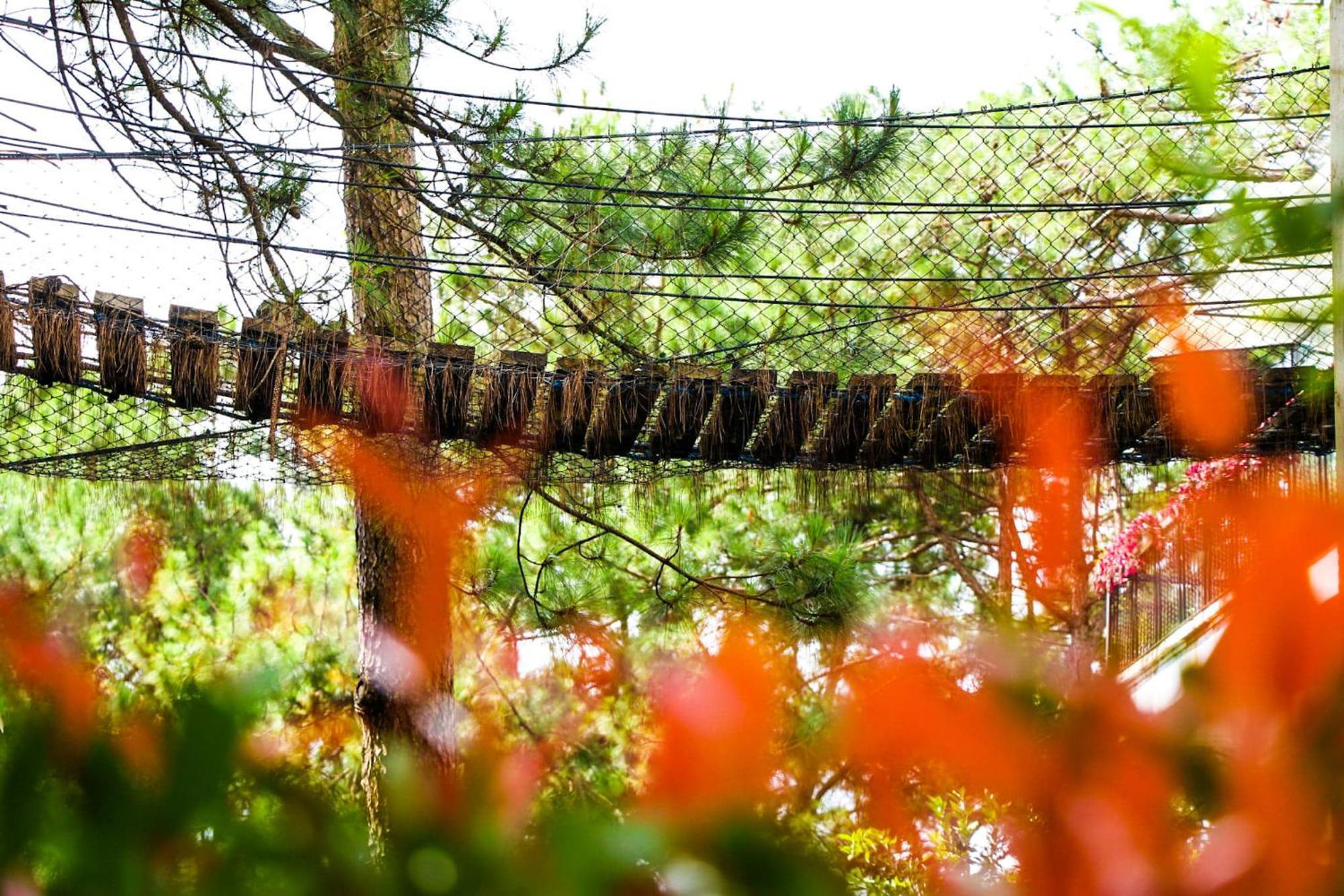 Tudor In The Pines Villa Baguio City Ngoại thất bức ảnh